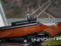 Пружинно-поршневая пневматика Stoeger X20. Италия, фотография 3