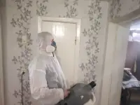 Уничтожение насекомых и грызунов по всей Беларуси, фотография 3