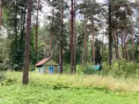 Детский лагерь в 20 км. от Гродно, 1,4 га, гродно, фотография 5