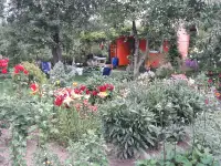 Дача, дачный участок возле Жодино, Садовое товарищество 