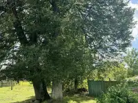 продам дом рядом с Борисовом, д.Новое Янчино, фотография 9