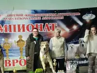 Щенки Среднеазиатской овчарки, фотография 12