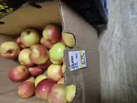 Сдается дом в хорошем месте,баня,бильярд,лес за забором, фотография 10