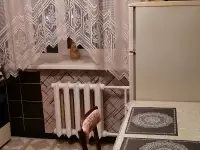 Квартира на сутки Фрунзе, фотография 4