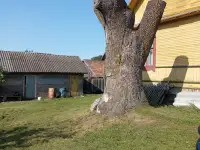 Дом, Гродненская область Волковысский район. Деревня Жорновка., фотография 7