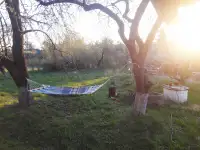 дом в деревне, Д.Сосновщина, фотография 4