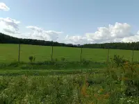 Участок возле Держинска, Полевая, фотография 2