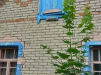 Продам дом, ул. Московская 41