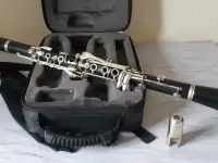 Кларнет Buffet Crampon Prodige, фотография 2