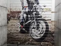 Сантехнические туалетные  роллеты.Возможно нанесение рисунка фотопечати., фотография 4