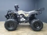 Квадроцикл Avenger Tungus 250cc 4G1, фотография 2