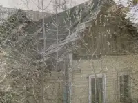 Продажа дома по ул. Цаликова, Витебск