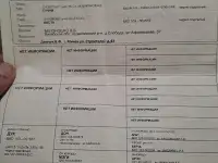 щенки ягдтерьера, фотография 4