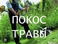 Покос травы любой сложности, бурьяна!