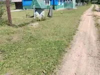 Дом под дачу, фотография 4