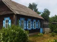 Продается дом в Осиповичском р-н, 20 км от г. Бобруйска