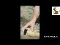 Насос для навоза, сточных вод, воды НШН600АТ4Р 100мм-100мм; 70 Hm; 90 м3час, фотография 2