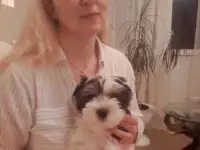 Биверенок, в которого невозможно не влюбиться., фотография 3