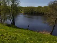сдам, фотография 7