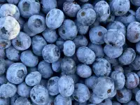 Продам участок с домом д.Рыловичи, фотография 9