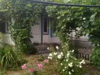 Уютный дом в деревне Белановичи, фотография 2