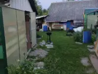 Домик в деревне, Сватковский сельсовет, район, Минская область, фотография 3