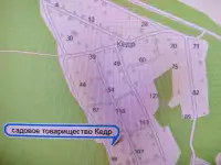 Продам дачный участок, фотография 3