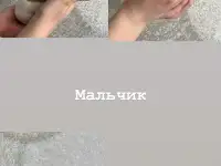 Щенки Джек Рассел терьер, фотография 6