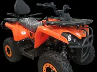 Квадроцикл amoto hammer 200 pro max c псм