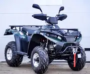 Квадроцикл linhai yamaha d200, фотография 2
