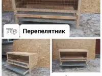 Перепелятник,, фотография 2