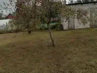 Продаётся дача, Гродненский рн., Каптевский с/с, СТ Зелёный огонёк, фотография 8