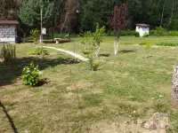 Продам дачу, с.т.Железняки 2 на берегу, фотография 2