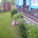 ПРОДАМ ДОМ, Д. ЛЮБАНЬ, фотография 3