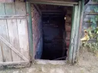 ремонт входа в погреб в Борисовском районе, дер. Кричино, фотография 2