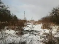 Продажа участка, д.Рандовка ул.Крестьянская 37, фотография 5