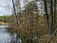 Дом  продам, фотография 7