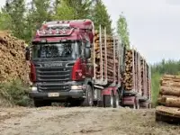 Услуги лесовозов. Работаем по все РБ.