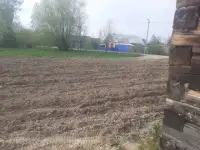 Сдам в аренду разработанный участок 20 соток под пшеницу или картошку., фотография 3