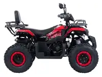 Квадроцикл racer rc200 gladiator 200cc, фотография 3