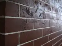 Нанесение декоративной штукатурки под ключ!, фотография 6
