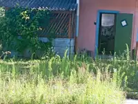 Дача, Жодишковский с/с, фотография 2