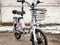 Электровелосипед AVM E-ALFA 20 Pro, фотография 9