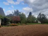 Продам дачу, ТО Темп деревня Скарчево