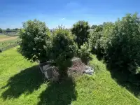 Коттедж в агрогородке Залесье. Сморгонский район, фотография 5