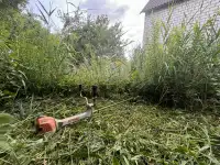 Покос травы, фотография 2