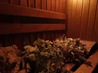 Коттедж и баня (ПОСУТОЧНО), Витебская Ул.Держинского 11, фотография 3