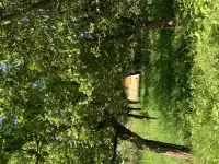 Продам дачу и дачный участок, ТС ,,Нежково,, возле Дер. Задорожье Горецкого района, фотография 11