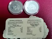 Комплект 20 рублей СЕРЕБРО1 рубль медно-никель Загадки серии Белорусский детский фольклор, фотография 2