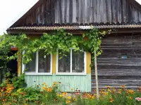 Продам дом, Гомельская область., ул. Ленинская, 118, фотография 4